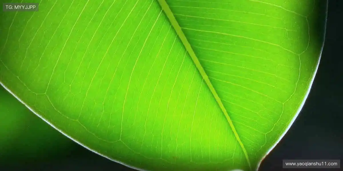 🎯从球衣到球鞋，每一件都是热爱的形状！